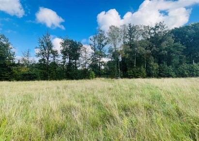 działka na sprzedaż - Jasienica, Międzyrzecze Górne