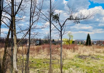 działka na sprzedaż - Bielsko-Biała, Kamienica