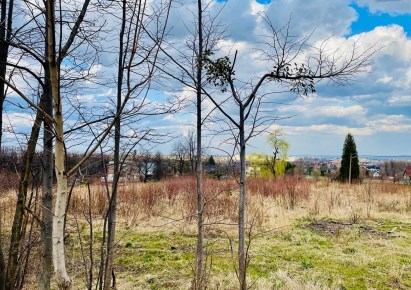 działka na sprzedaż - Bielsko-Biała, Kamienica