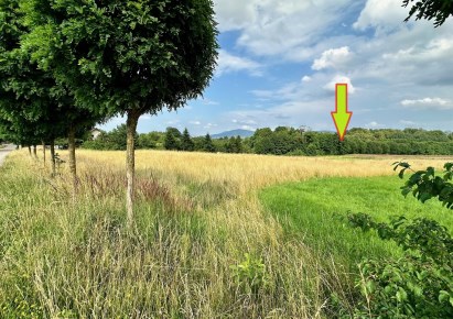 działka na sprzedaż - Bielsko-Biała, Kamienica