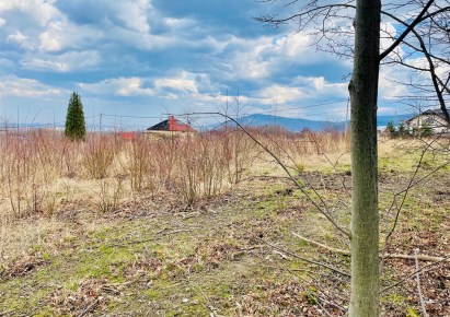 działka na sprzedaż - Bielsko-Biała, Kamienica