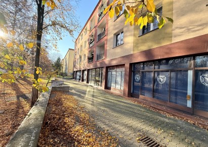 mieszkanie na sprzedaż - Bielsko-Biała, Beskidzkie