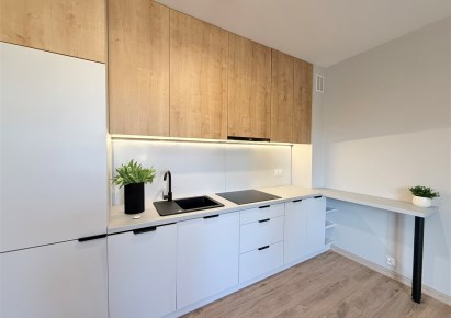 mieszkanie na wynajem - Bielsko-Biała, Centrum