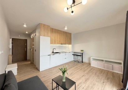 mieszkanie na wynajem - Bielsko-Biała, Centrum