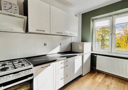 mieszkanie na wynajem - Bielsko-Biała, Centrum