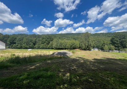 działka na sprzedaż - Czernichów, Międzybrodzie Bialskie