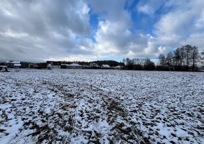 działka na sprzedaż - Jasienica, Biery