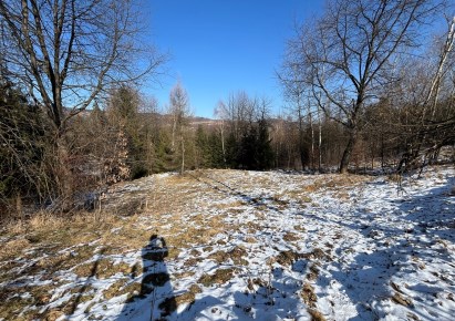 działka na sprzedaż - Świnna, Komarnik