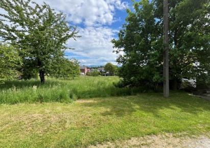 działka na sprzedaż - Czechowice-Dziedzice