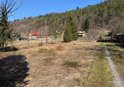 działka na sprzedaż - Świnna, Pewel Mała