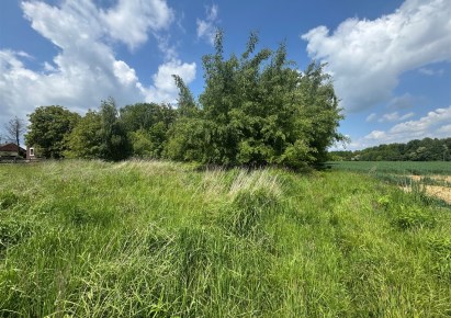 działka na sprzedaż - Wilamowice (gw), Hecznarowice