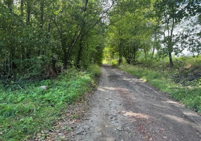 działka na sprzedaż - Lyski, Zwonowice