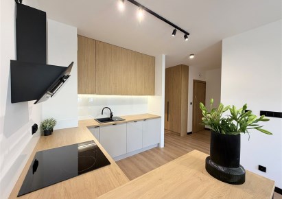 mieszkanie na wynajem - Bielsko-Biała, Centrum