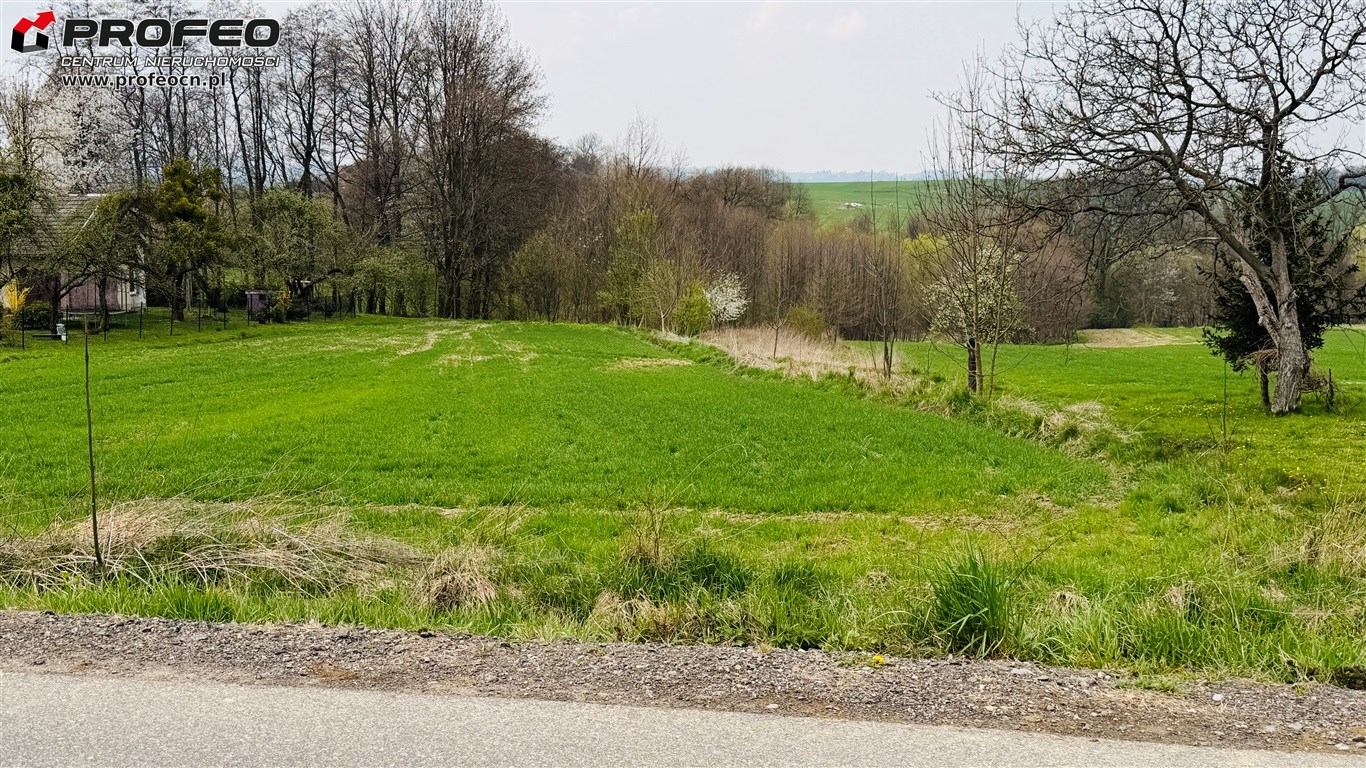 Działka na sprzedaż - Jasienica