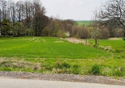 działka na sprzedaż - Jasienica, Wieszczęta