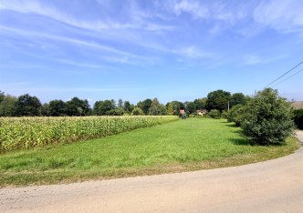 działka na sprzedaż - Jasienica, Łazy