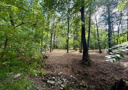 działka na sprzedaż - Jaworze
