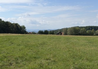 działka na sprzedaż - Jasienica, Grodziec